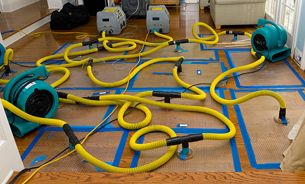 Professional Burst Pipe Water Damage technician working in Fruitland, WA